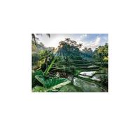 Puzzle 2000 pieces Au coeur de Bali, Adultes et enfants des 14 ans, Collection Évasion, 12001518, Nathan