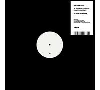 Nathan Fake - Degreelessness Prurient (12") [Vinilo]