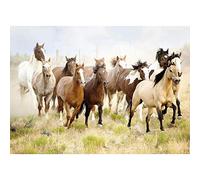 Nathan - Puzle de 1000 Piezas - Cabalgando por el Desierto - Adultos y niños a Partir de 14 años - Puzle Colección Wildlife - 12000919