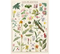Nathan - Puzle de 1500 Piezas - Plantas - Museo Nacional de Historia Natural - Adultos y niños a Partir de 14 años - Puzle Colección Nostalgia - 12000931