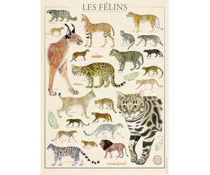 Nathan - Puzle de 500 Piezas - Los felines/Museo Nacional de Historia Natural - Adultos y niños a Partir de 12 años - Puzle Colección Nostalgia - 12000978