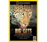 National Geographic: Big Cats [DVD] [Reino Unido]