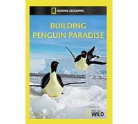 Building Penguin Paradise [Edizione: Stati Uniti] [Italia] [DVD]