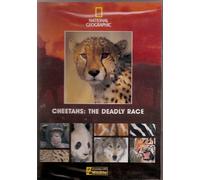National Geographic - Cheetahs The Dead:Not Found [Edizione: Regno Unito] [Italia] [DVD]
