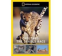 National Geographic: Cheetah's - The Deadly Race [DVD] [Reino Unido]