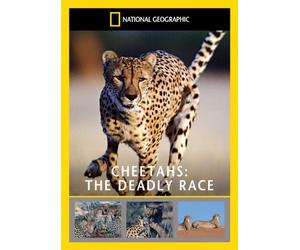 National Geographic: Cheetah's - The Deadly Race [DVD] [Reino Unido]