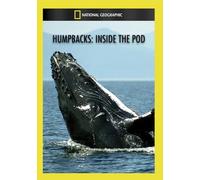 National Geographic: Humpbacks Inside the Pod [DVD]