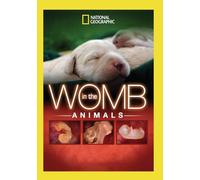 National Geographic – En el vientre: Animales