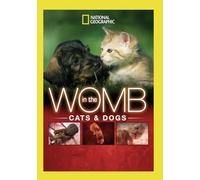 National Geographic: In the Womb - Cats & Dogs