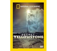 National Geographic Into The Wilderness - Secret Yellowstone [Reino Unido] [DVD]