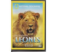 - National Geographic: Paseando con Leones (Walking with Lions) [*NTSC/REGION 1 & 4 DVD. Import - Latin America] (Audio: English, Spanish / Subtitles: Spanish)