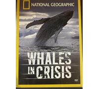 National Geographic: Whales in Crisis [USA] [DVD]