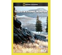Yellowstone Winter [Edizione: Stati Uniti] [USA] [DVD]