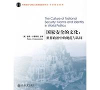 national security culture: the norms of world politics and identity in [paperback]