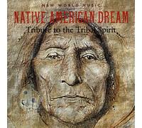 Native American Dream: Tribute to the Tribal Spirit by Goodall Thornton Richardson (2004-08-02)