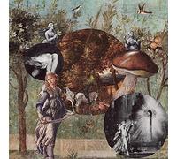 Native Harrow - Old Kind Of Magic [Vinilo]