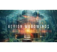 Native Instruments Action Woodwinds