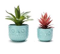 Nattol Maceta suculenta de búho, macetas de Animales Turquesa con Drenaje, Juego de 2