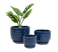 Nattol Macetas de cerámica con Orificio de Drenaje y platillo, macetas Redondas para suculentas de Interior con diseño de Textura Inspirado en Panal, tamaño pequeño a Mediano, Juego de 3, Azul Marino