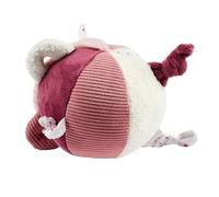 Nattou Lapidou Pelota Sensorial Bebé - Juguete Peluche Suave - Idea Regalo Recién Nacido - 15 cm - Rosa Polvo