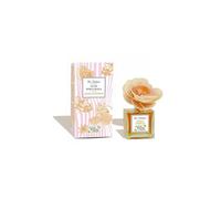 Natur Botanic Ambientador Flor Perfumada Canela Naranja 90ml