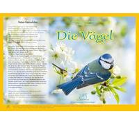 Natur-Kamishibai / Kamishibai - Die Vögel: Die Kartoffel / Die Vögel / Natur-Kamishibai
