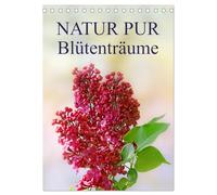 NATUR PUR Blütenträume (Tischkalender 2026 DIN A5 hoch), CALVENDO Monatskalender: Wunderschöne Blüten im Wechsel der Jahreszeiten, festgehalten in zauberhaften Fotografien