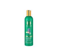 Natura Siberica BioCryo Champú anticaída 400 ml - Con complejo orgánico de romero y tripéptido - Para un cabello más fuerte y más grueso - Fortalece las raíces del cabello y el cuero cabelludo