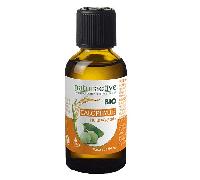Naturactive aceite de Calophyllum orgnica vegetal 50ml