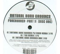 Natural Born Grooves - Forerunner