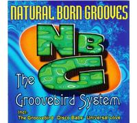 Natural Born Grooves - Groovebird System