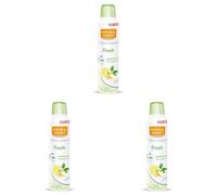 Natural Honey, Fresh Desodorante Spray Sin Aluminio Dermoprotectivo, 48H de Protección Natural Contra los Malos Olores, Formula Anti Manchas con Extractos Naturales de Jengibre y Bergamota, 200 ml