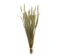 NATURAL LIVING" BLE Natural en Bota de 70 cm
