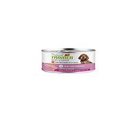 Natural Trainer Dog - Baby Starter, Comida húmeda, Paquete múltiple, 1 x 140 g, Pavo