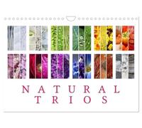 Natural Trios (Wall Calendar 2027 DIN A4 landscape), CALVENDO 12 Month Wall Calendar: Enjoy the beauty of natural colour trios