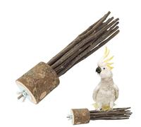 Natural Wood Parrot Perch - Perch con textura de molienda | Wooden Branch for Parakeets, Budgies, Conures & Other Small Pet Birds