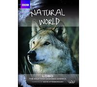 Natural World - Lobo: The Wolf That Changed America [DVD] [2008]