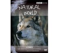 Natural World - Natural World - Lobo: The Wolf that Changed America [Reino Unido] [DVD]