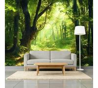 Naturaleza Bosque Profundo Luz Del Sol Papel pintado fotográfico tejido no tejido 200 x 140 cm murales decorativos modernos para pared Verde Oscuro, póster de pared para habitación infantil y salón
