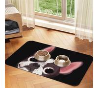 Naturaleza del Boston Terrier,Tapete para Comida de Mascotas, manteles Individuales de Cuero sintético para Gatos y Perros,30x45cm