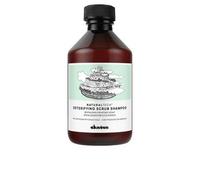 NATURALTECH detoxifying scrub champú 250 ml