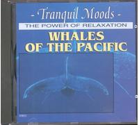 Naturaufnahme - Whales of the Pacific - Atmospheric Moods