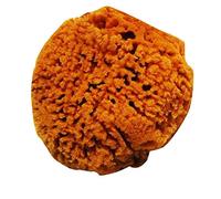 Naturcosmetika Esponja Honey Comb Extra Suave Naturcosmetik 300 g