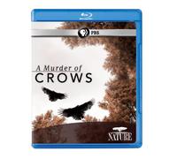 Nature: A Murder Of Crows [Edizione: Stati Uniti] [USA] [Blu-ray]