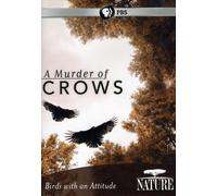 Nature: A Murder of Crows [USA] [DVD]