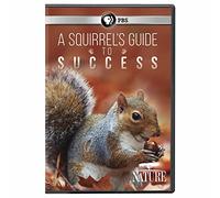 Nature: A Squirrel's Guide To Success [USA] [DVD]