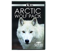 Nature: Arctic Wolf Pack [USA] [DVD]