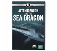 NATURE: Attenborough And The Sea Dragon [USA] [DVD]