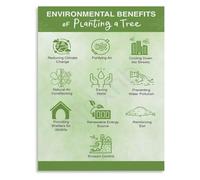 Nature Based Solutions Poster Climate Action Home School Art