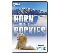 Nature: Born In The Rockies [USA] [DVD]